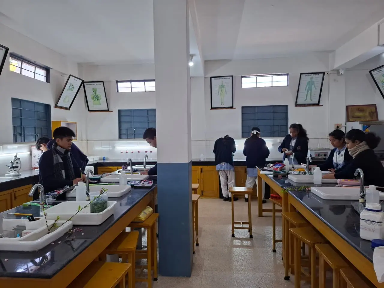Biology Lab 4